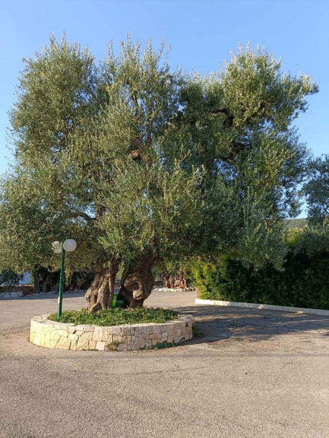 Masseria Galleppa By Apulia Hospitality Macchia di Monte Екстериор снимка